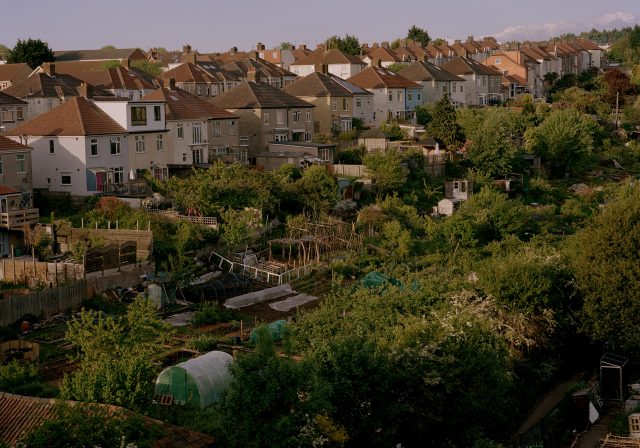 Clay Bottom allotments (photo by Chris Hoare)