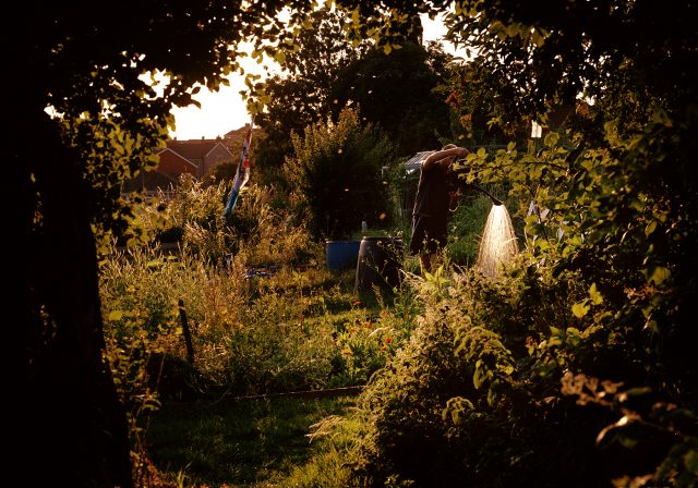 St George Hole watering (photo by Chris Hoare)