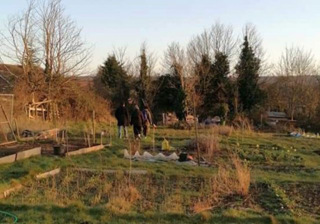 Tynings Field Community Group