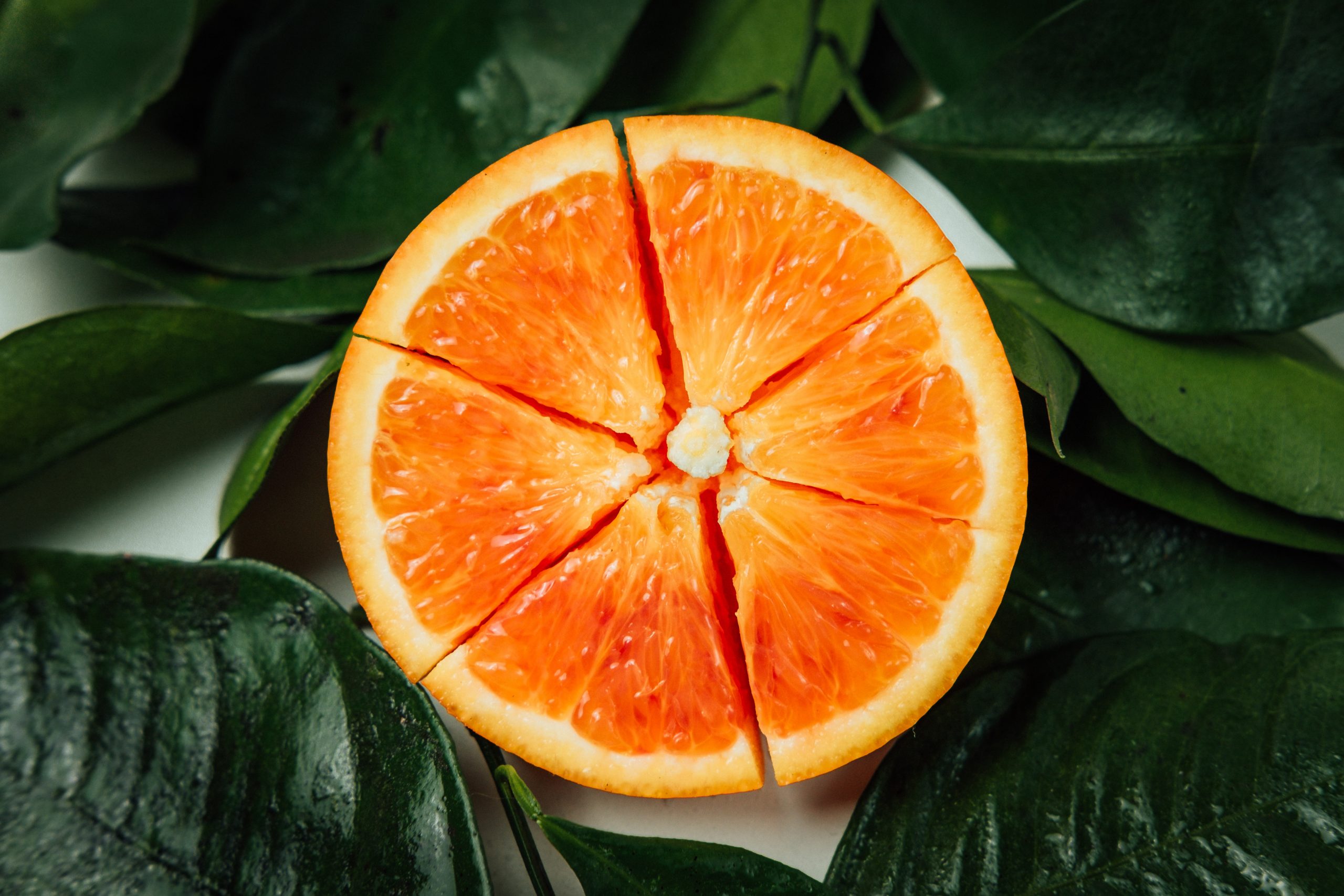 xiaolong-wong-9gpERFdyDW4-unsplash-scaled