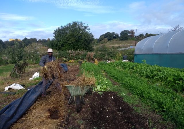 Thursday sessions 2021 at Sims Hill