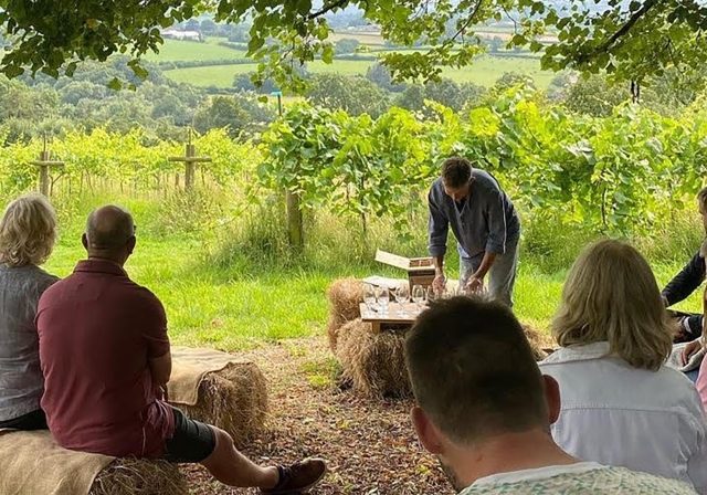 Wine and cheese tasting next to Limeburn Hill Vineyard