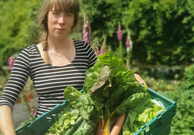 Alex from Purple Patch holding a veg box