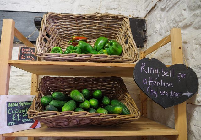 Veg for sale at Elm Tree Farm