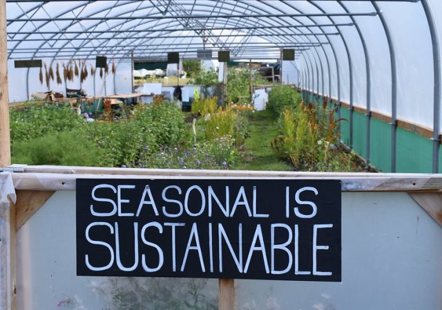 'Seasonal is sustainable' sign at Hartcliffe City Farm