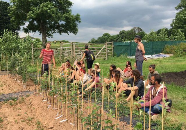 Students on the Practical Sustainability Course staking plants