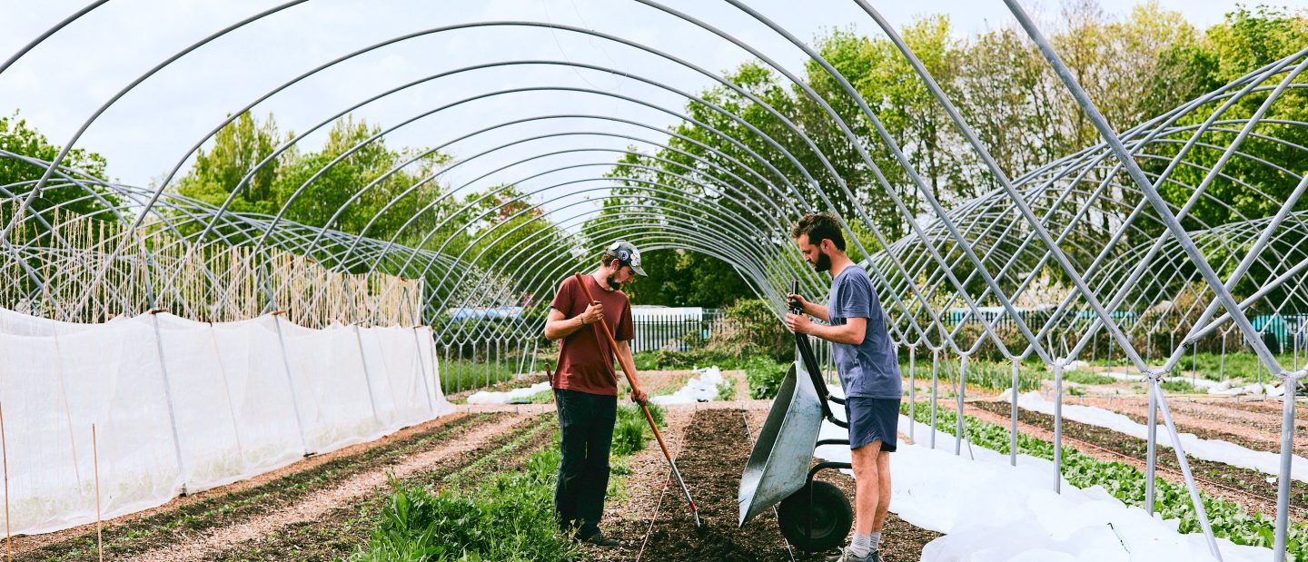 Lush Greens (Photo by Henry Kenyon)