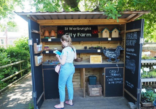 St Werburghs City Farm