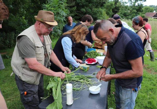Foraging with Steve England