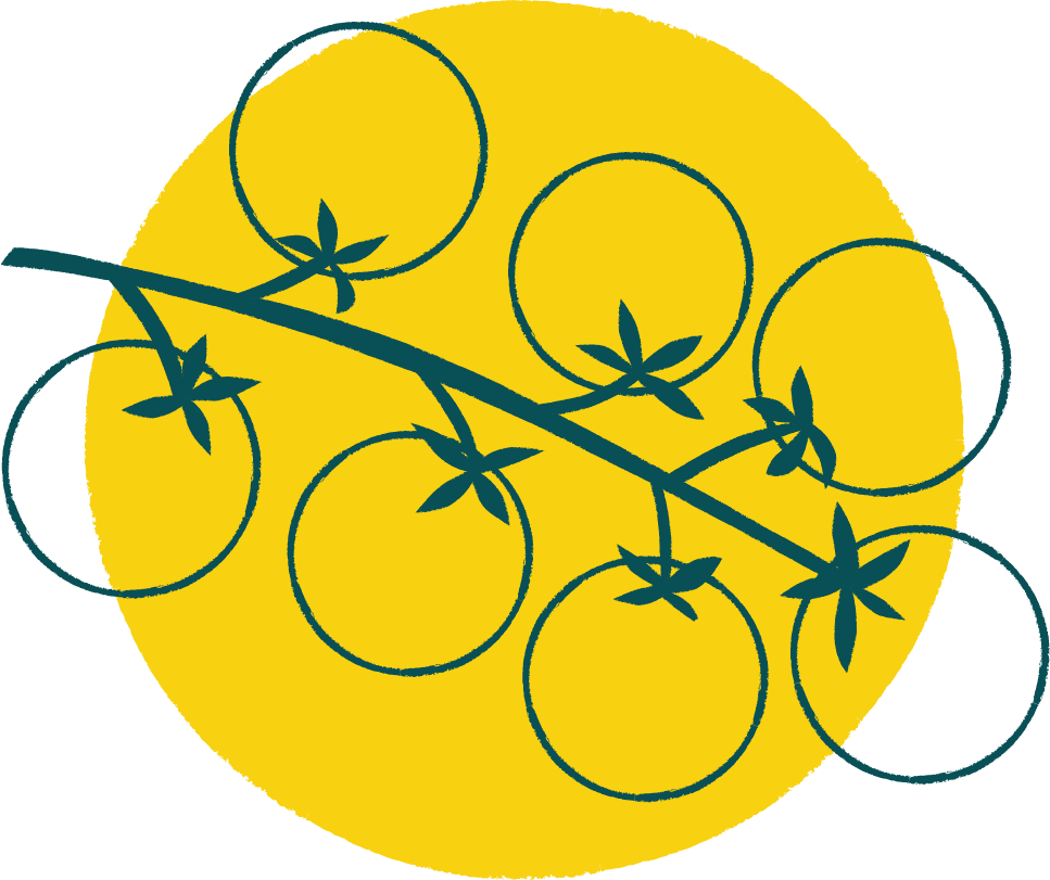 BGF CTA