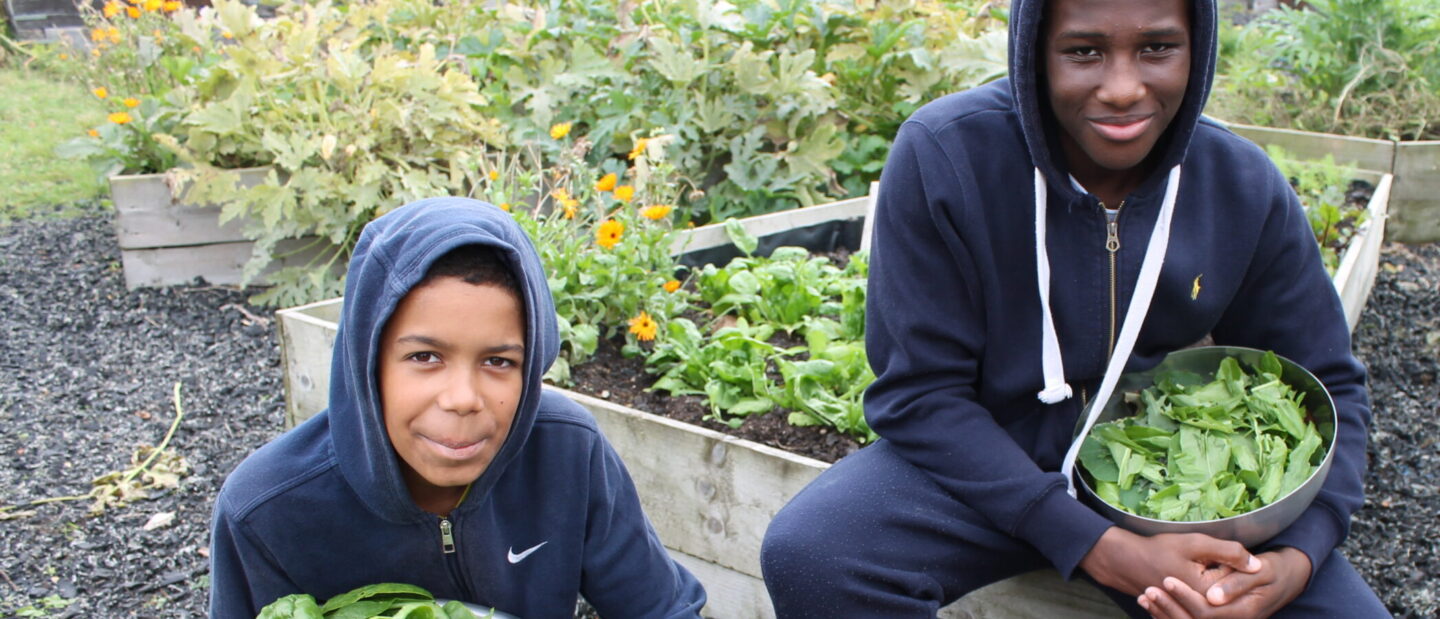 Young people collecting food and gardening at Jamie's Farm