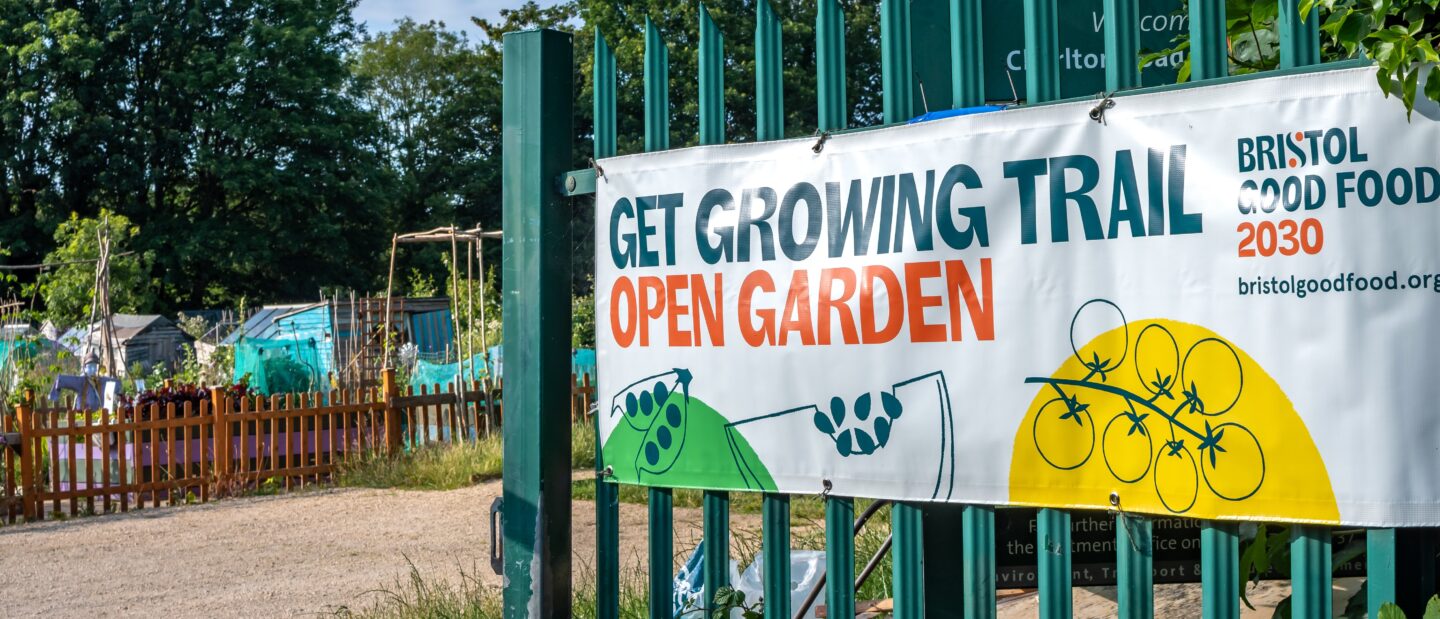 Alive's Dementia-friendly Allotment: Photo credit Guy Manchester