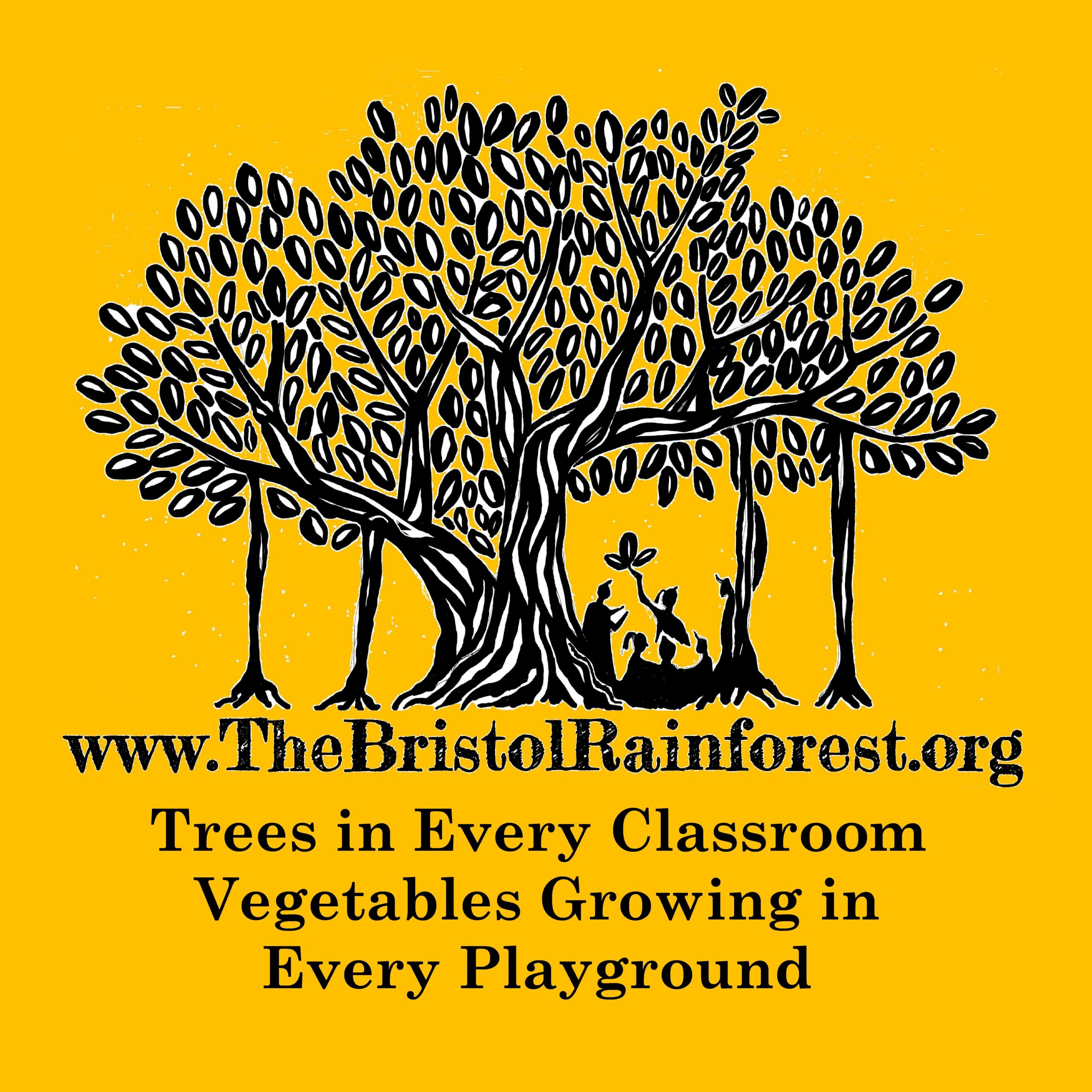 The Bristol Rainforest