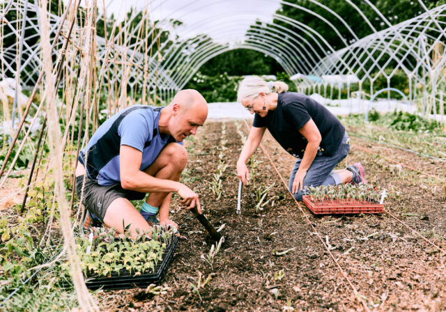 People planting crops